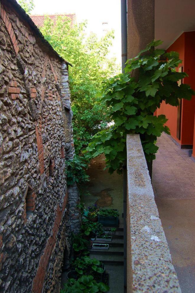 Buda Castle Apartments Budapest Extérieur photo