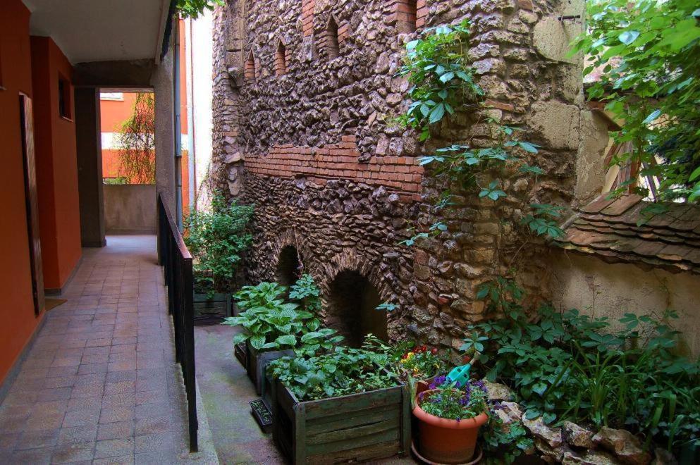 Buda Castle Apartments Budapest Extérieur photo